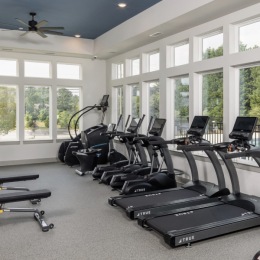 treadmills in the fitness center