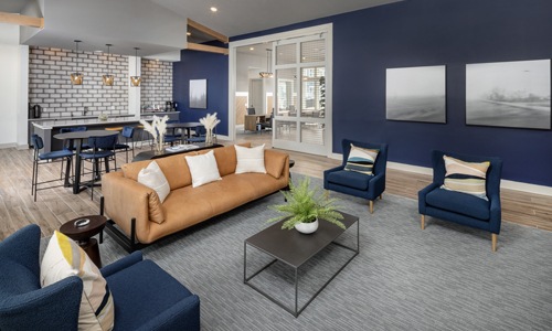 The essence of exceptional living room with couch and blue walls